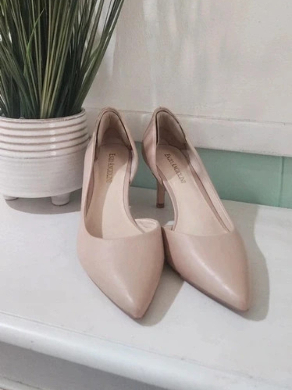 Enzo Angiolini Pointed-Toe Pumps in Blush Nude